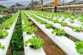 handmade-craft-arrivals1